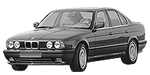 BMW E34 B1E95 Fault Code